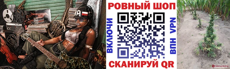 Виды наркоты Ворсма АМФ  МЕФ  ГАШ  Alpha-PVP 