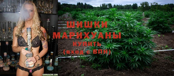 ешки Богданович