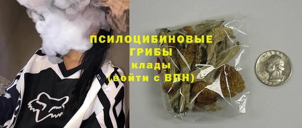 ешки Богданович